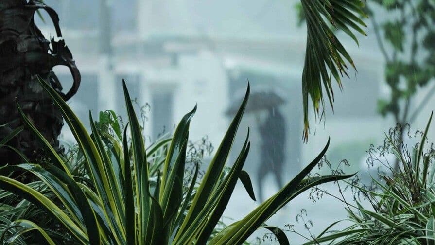 Alerta en República Dominicana por vaguada y onda tropical
