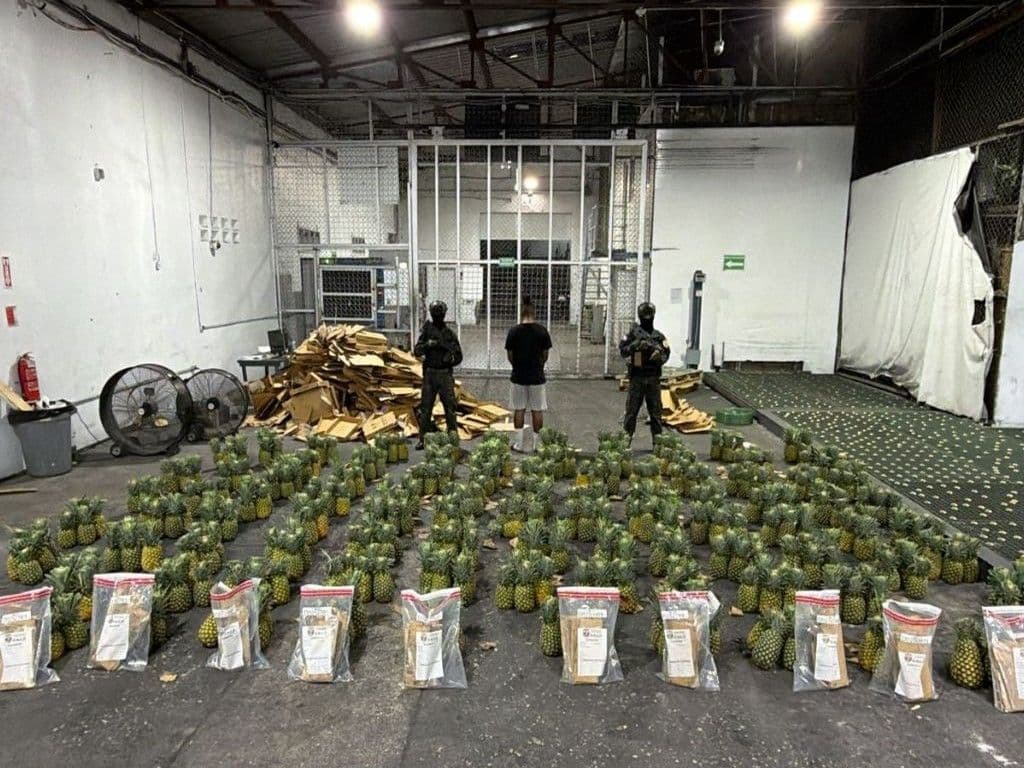 Ocupan 121 láminas de presunta cocaína ocultas en carga de piñas en el AILA