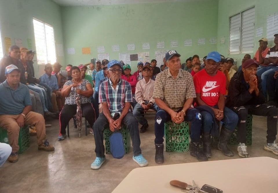 Productores de café demandan apoyo ante alta importación