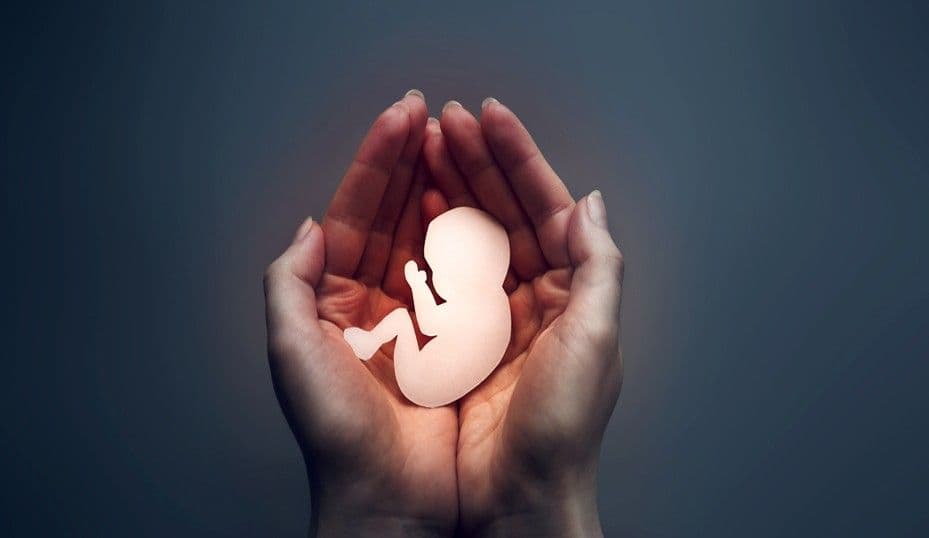 La Alianza Cristiana aborda el aborto desde una perspectiva de fe
