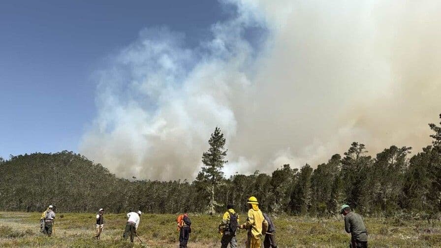 Medio Ambiente continúa labores para controlar incendio en Bahoruco