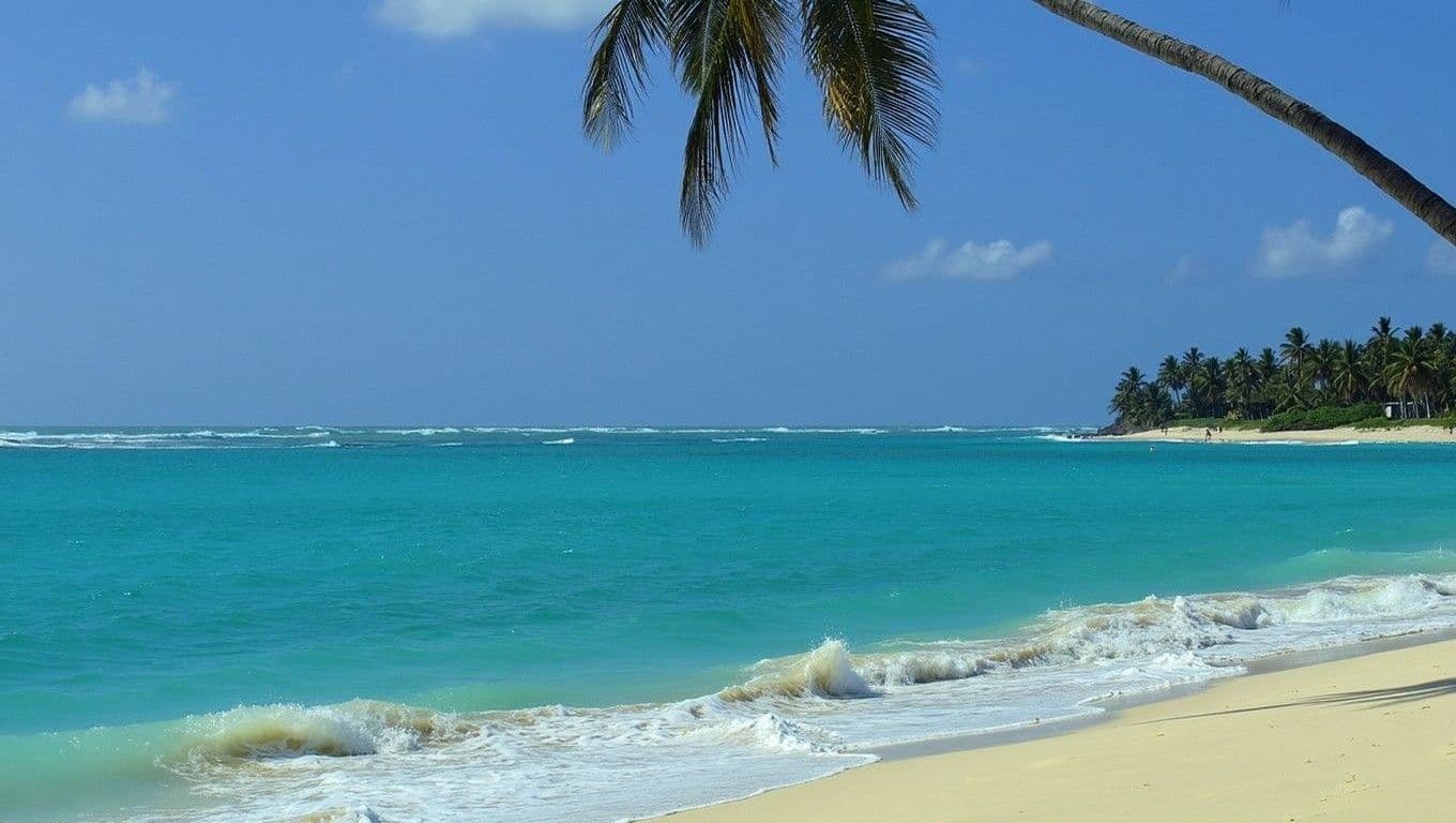 COE informa mejoría en condiciones marítimas de la costa caribeña