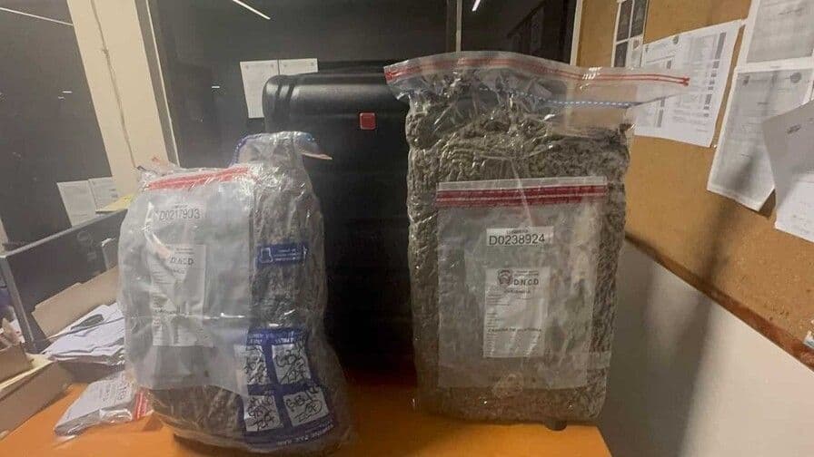 Decomisan casi 29 libras de marihuana en el Aeropuerto Internacional de Las Américas