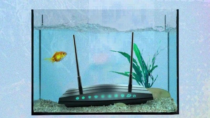 Factores que interfieren con la señal Wi-Fi y cómo mejorarla